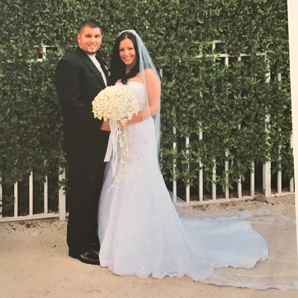 Cathedral veil & flare skirt. Skirt NWT David's